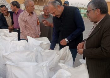 “الزراعة” تتابع محطات الغربلة ومنافذ بيع التقاوي بالمحافظات المختلفة