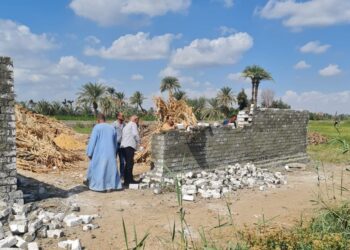 زراعة الفيوم