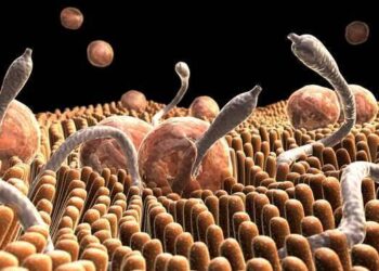 الطفيليات وأمراض الحيوان