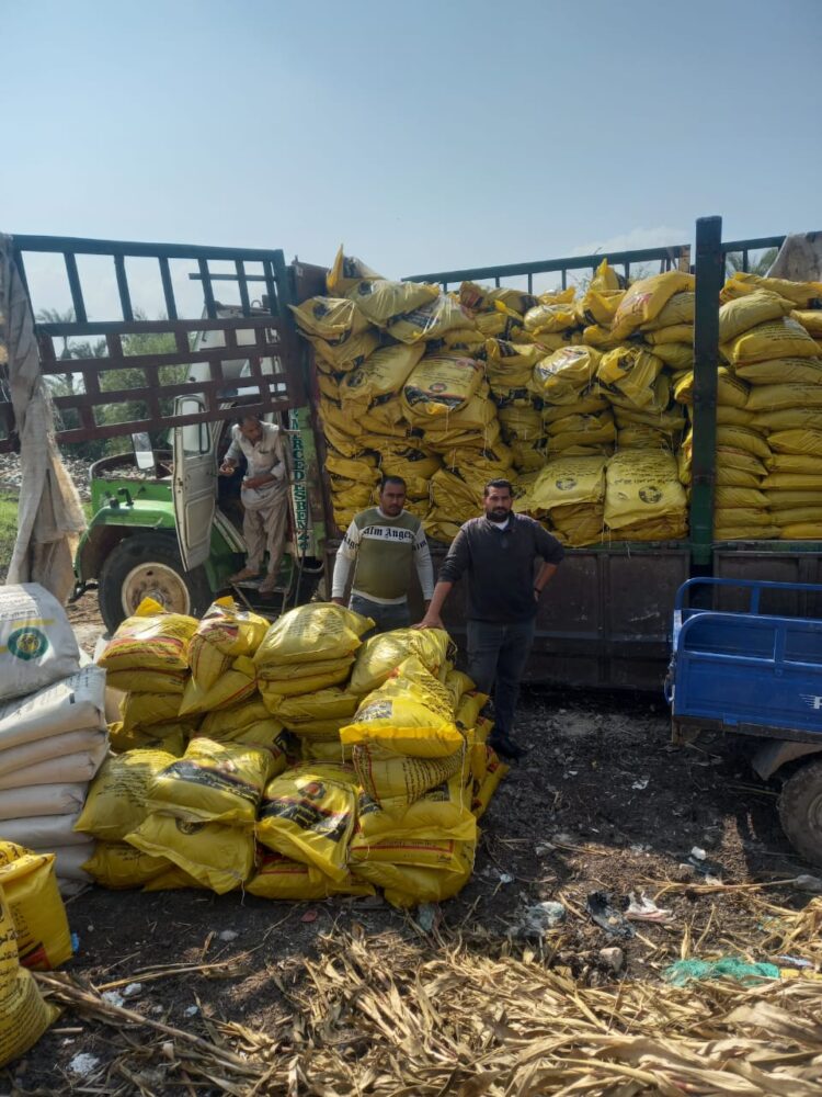 نشاط مكثف لمديرية الزراعة بالفيوم للحفاظ على الرقعة الزراعية