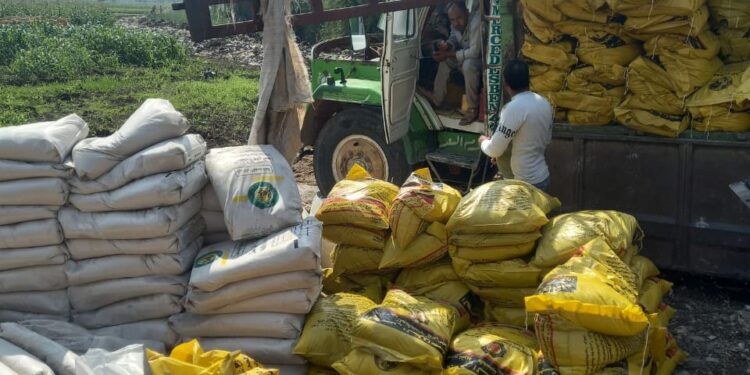 نشاط مكثف لمديرية الزراعة بالفيوم للحفاظ على الرقعة الزراعية 1 الفيوم