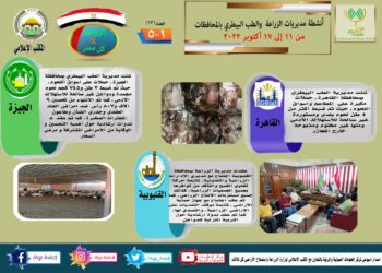 مركز المعلومات الصوتية