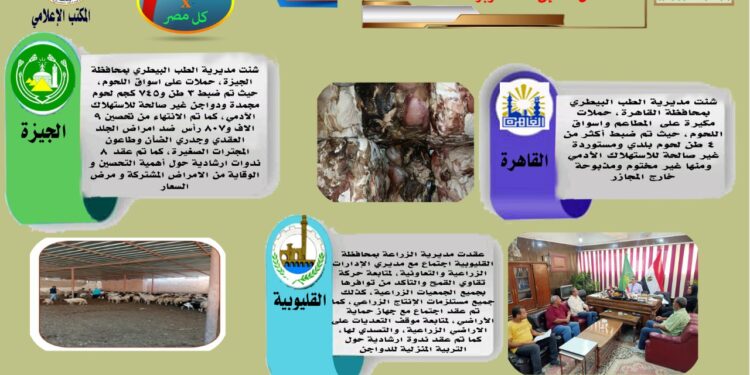 مركز المعلومات الصوتية