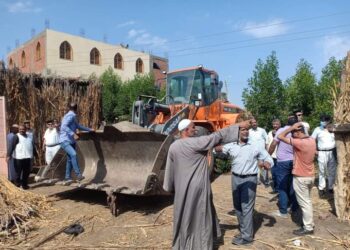 زراعة الفيوم