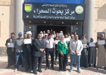 الإدارة المتكاملة