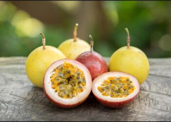 الباشن فروت