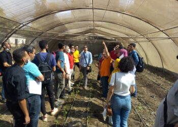 إنتاج محاصيل الفاكهة تحت الصوب