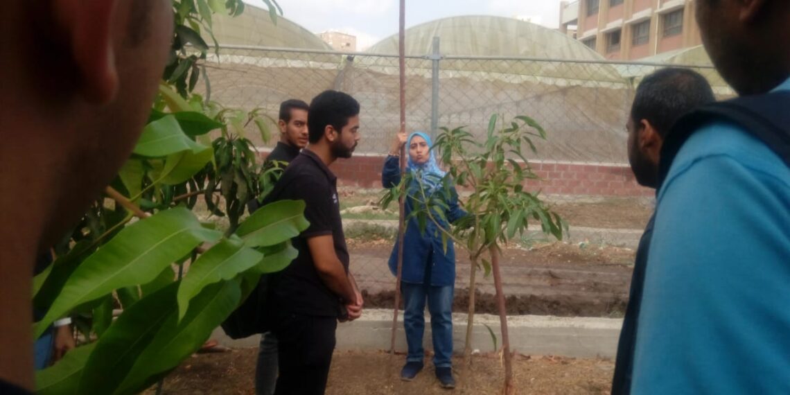 إنتاج محاصيل الفاكهة تحت الصوب