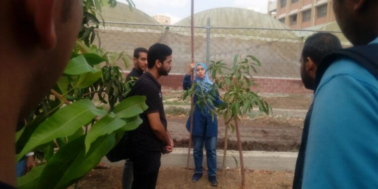 إنتاج محاصيل الفاكهة تحت الصوب