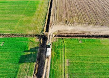 التسميد الآزوتي