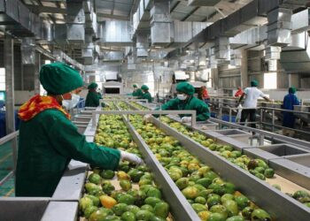 التصنيع الزراعي