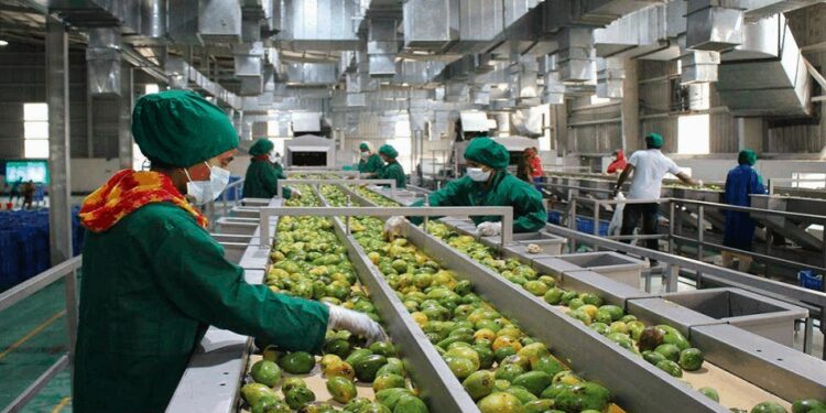 التصنيع الزراعي.. عميد زراعة أسيوط يوضح أهميته 1 التصنيع الزراعي