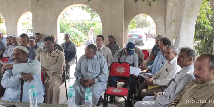 "الزراعة" تنفذ يومي حقل لدعم مزارعي البساتين بالشرقية والدقهلية 1 الزراعة