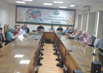 الزراعة بدون تربة