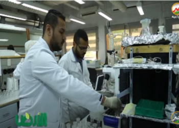 متبقيات المبيدات