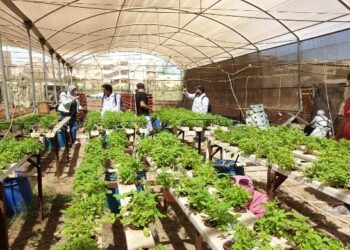 المركزي للمناخ