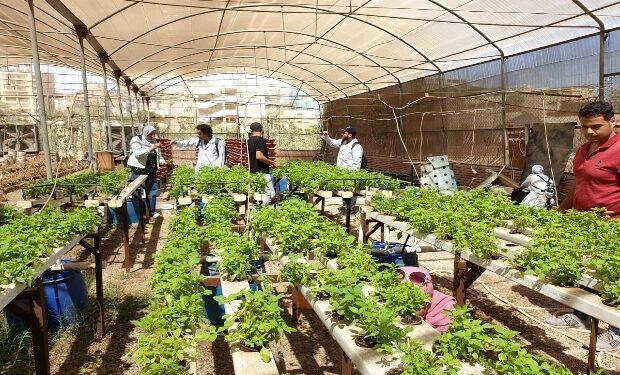 "الزراعة" تستعرض تقريرا حول أنشطة المعمل المركزي للمناخ الزراعي خلال سبتمبر 1 المركزي للمناخ