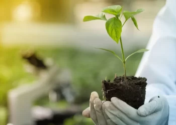 الهندسة الزراعية