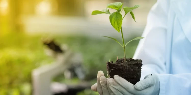 الهندسة الزراعية ودورها في الحد من تأثير التغيرات المناخية 1 الهندسة الزراعية