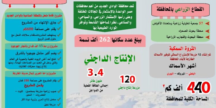 "الوادي الجديد".. مستقبل التعمير والتنمية و الاستثمار الأخضر 1 الوادي الجديد