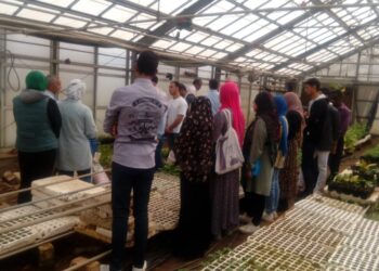 إنتاج محاصيل الفاكهة تحت الصوب