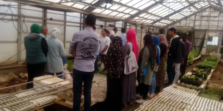 المناخ الزراعي يختتم تدريب إنتاج محاصيل الفاكهة تحت الصوب 1 إنتاج محاصيل الفاكهة تحت الصوب