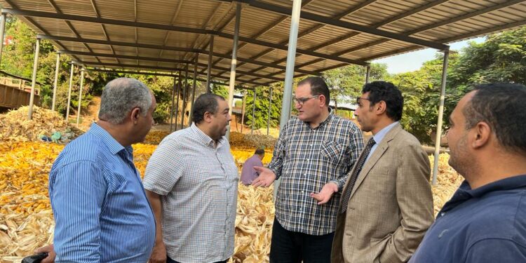 مستشار وزير الزراعة ورئيس قطاع الإنتاج يتفقدان مزرعة جزيرة الشعير 1 مزرعة جزيرة الشعير