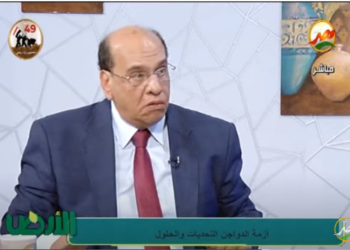 صناعة الدواجن