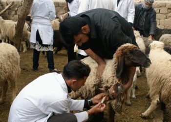 الزراعة