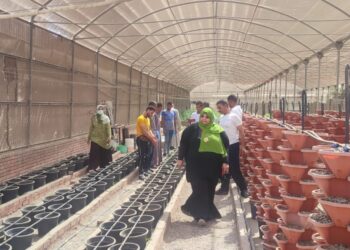 المناخ الزراعي