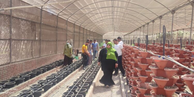 المناخ الزراعي