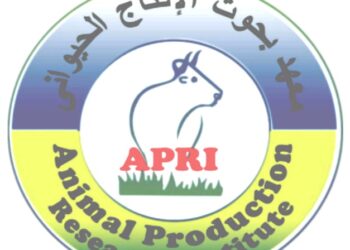 الإنتاج الحيواني