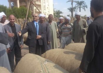 وكيل وزارة الزراعة بالفيوم يتفقد حلقات القطن ويستمع لمشاكل المزارعين