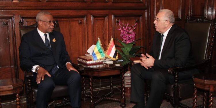 وزيرا الزراعة في مصر والجابون يبحثان أوجه التعاون المشترك 1 وزيرا الزراعة في مصر والجابون يبحثان أوجه التعاون المشترك