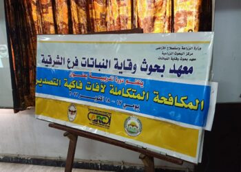 فاكهة التصدير