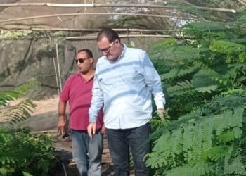 قطاع الإنتاج