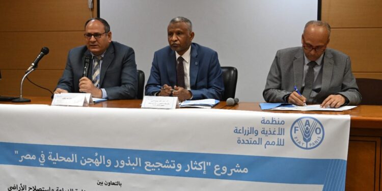 انطلاق أعمال مشروع "إكثار وتشجيع البذور والهجن المحلية" بالتعاون مع منظمة الأغذية والزراعة للأمم المتحدة 1 البذور