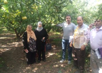 الزراعة تتابع حدائق الفاكهة بمحافظة الإسكندرية وتقدم التوصيات اللازمة للمزارعين