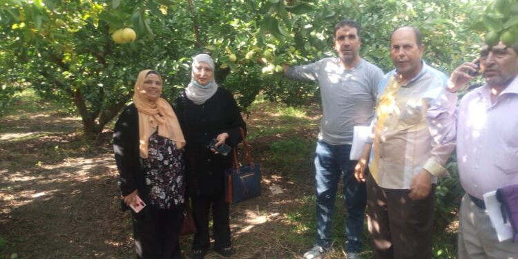 الزراعة تتابع حدائق الفاكهة بمحافظة الإسكندرية وتقدم التوصيات اللازمة للمزارعين