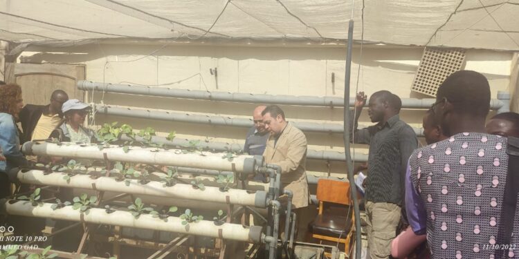 “المركزي للمناخ الزراعي” يستقبل مبعوثين من افريقيا واسيا لاستعراض تجارب المعمل خاصة في مجال الزراعة بدون تربة