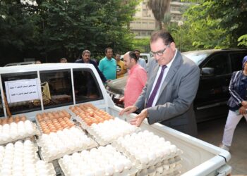 سعر كرتونة البيض