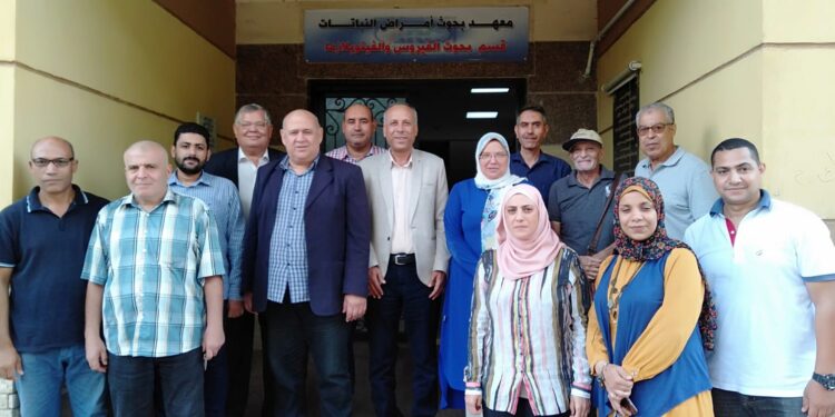 معهد أمراض النباتات.. "الزراعة" تعلن جدول الأنشطة البحثية والتدريبية خلال أكتوبر 1 معهد أمراض النباتات