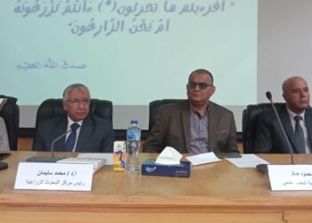 محصول القمح