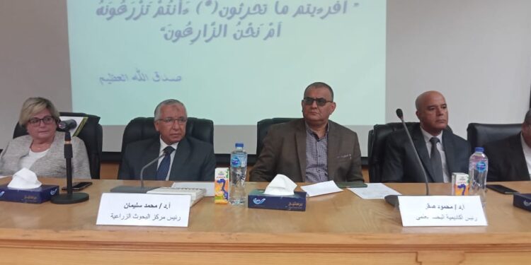 محصول القمح .. الزراعة تطلق الحملة القومية للنهوض بالمحصول 1 محصول القمح