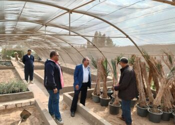 رئيس بحوث الصحراء