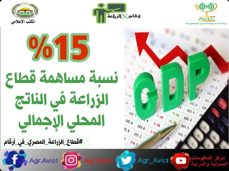 “أرقام في الزراعة”.. تعرف على أهم الأرقام الخاصة بالقطاع الزراعي في مصر