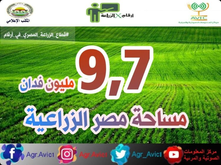 أرقام في الزراعة