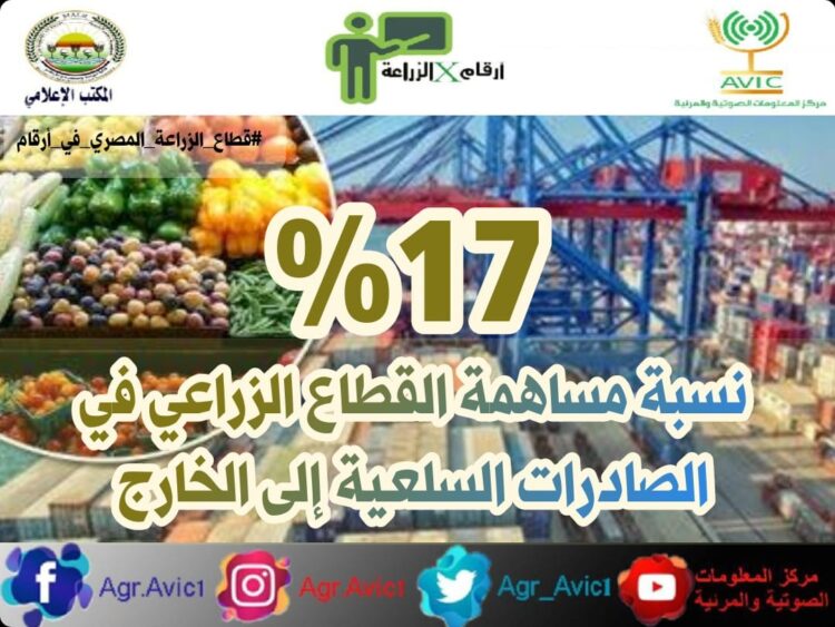 “أرقام في الزراعة”.. تعرف على أهم الأرقام الخاصة بالقطاع الزراعي في مصر