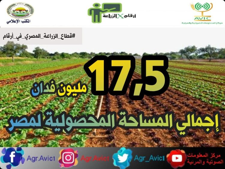 “أرقام في الزراعة”.. تعرف على أهم الأرقام الخاصة بالقطاع الزراعي في مصر