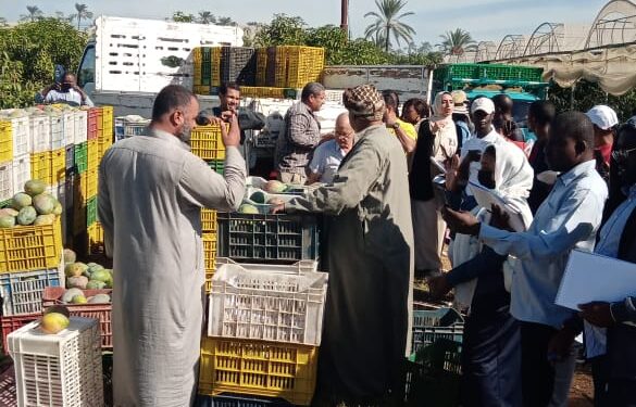 المركزي للمناخ الزراعي يستقبل وفد من 14 دولة أفريقية وأسيوية للتعرف علي نظم الزراعة الحديثة 1 المركزي للمناخ الزراعي